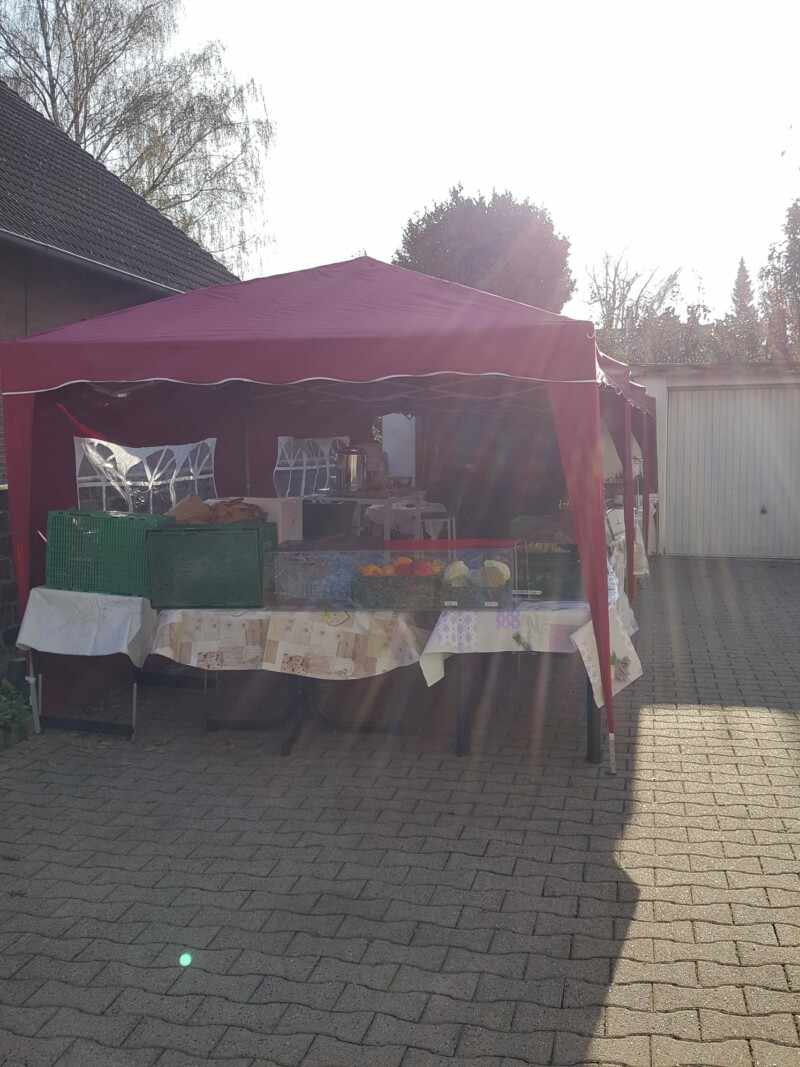 whatsapp-image-2022-11-20-at-15